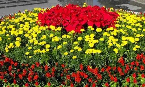 有关美丽校园三年级作文汇总9篇,美丽的校园作文500字左右五年级