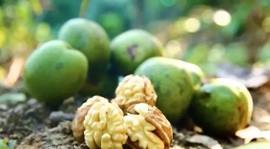 四川广元最好的特产,广元特产有哪些值得带