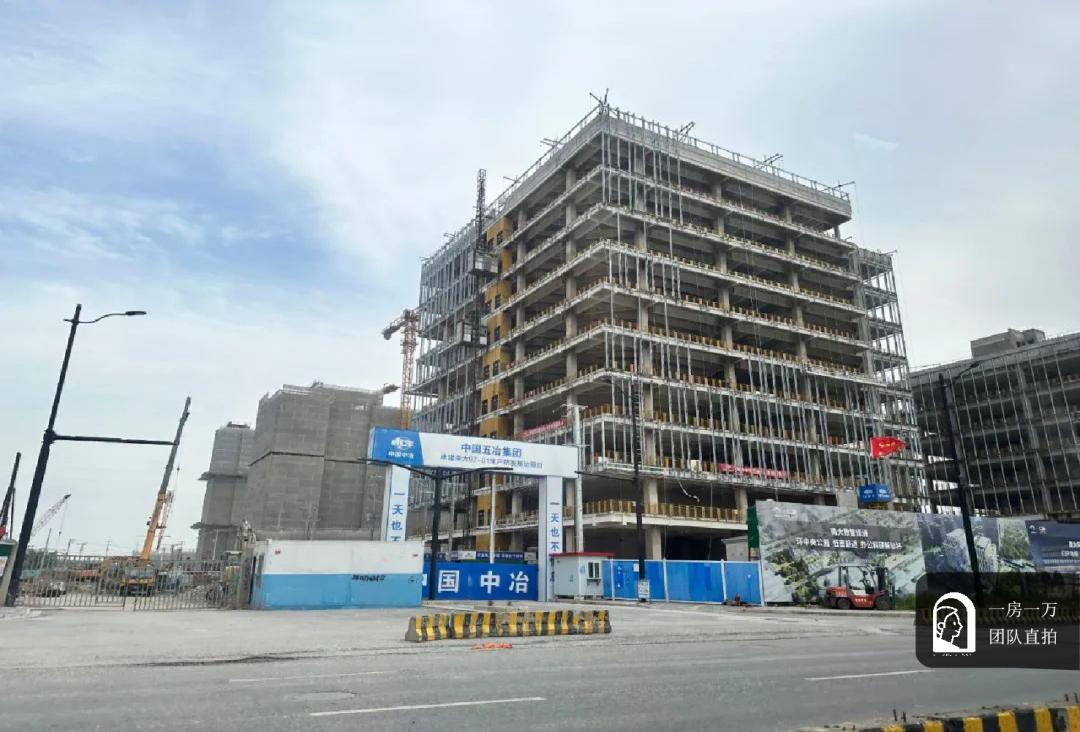 南大！桃浦！能否实现1+1＞2的效果？带飞西北部经济价值增长？