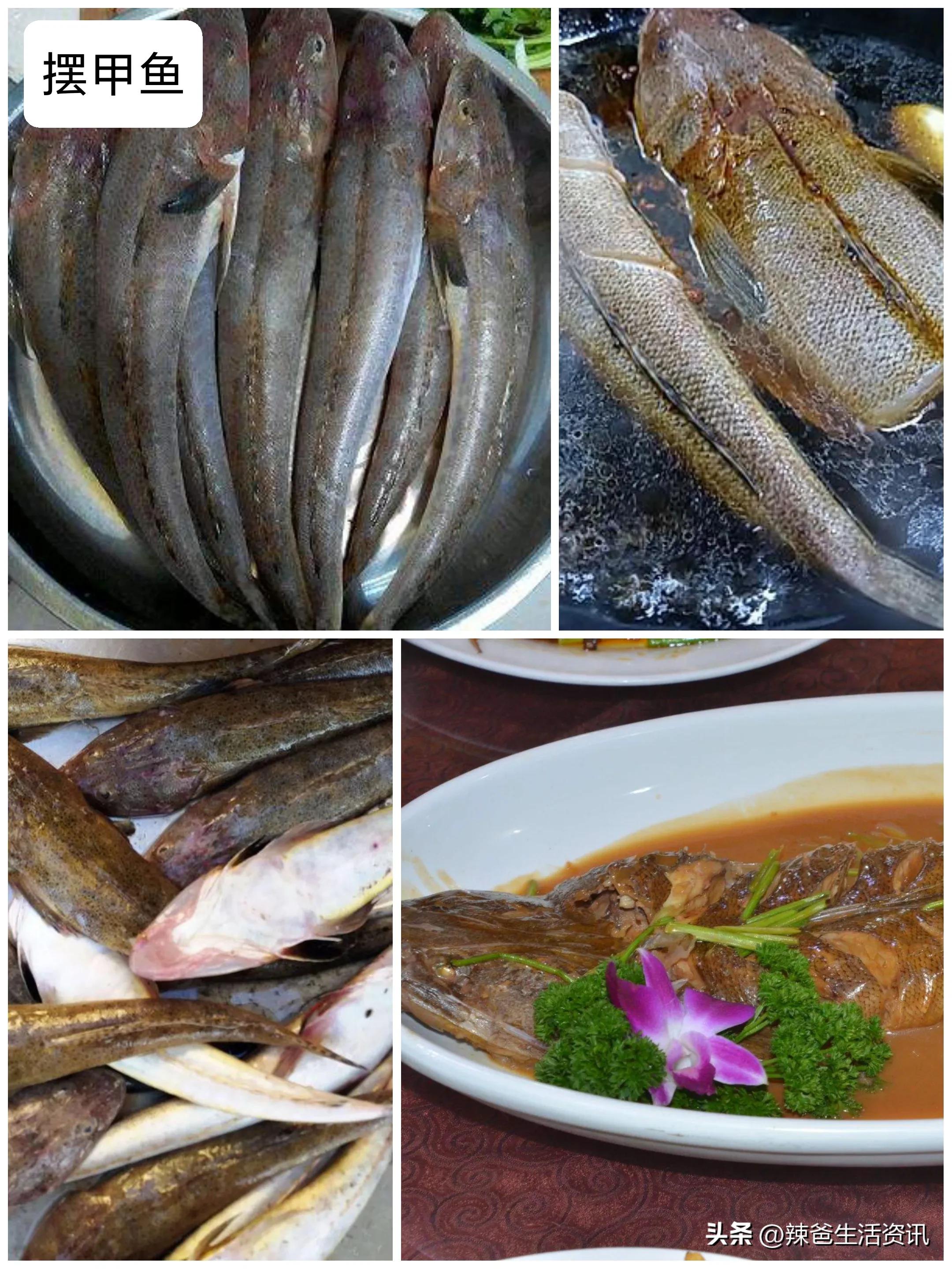 30种最常吃的海鱼做法,家常有哪些海鱼最好吃