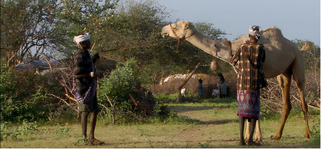非洲的盐有多贵？200斤盐能换五头牛，但采盐工的艰辛难以想象
