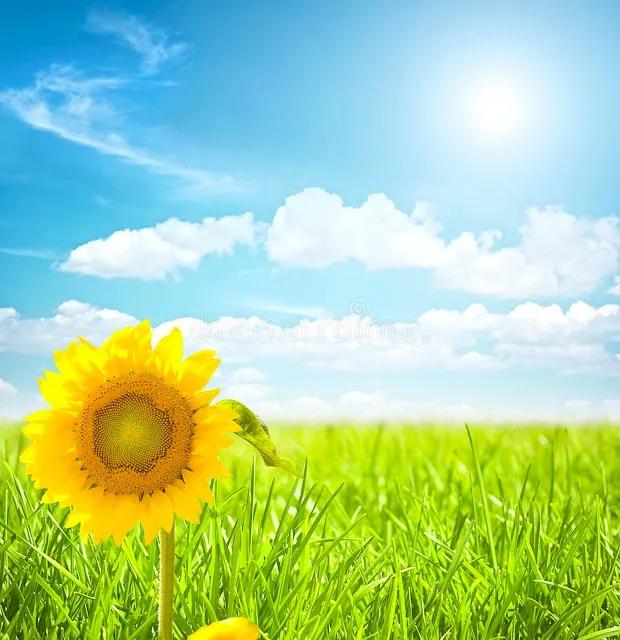 心想事成万事如意一切都顺利,一切顺利万事如意心想事成