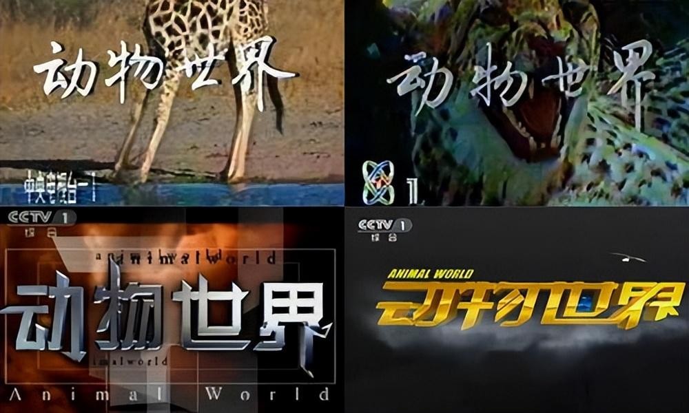 赵忠祥死后遗产留给谁,赵忠祥为何遗产全部留给一个人