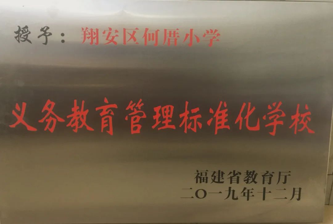 我们的校园㊱|何厝小学：一样的成长，不一样的精彩~