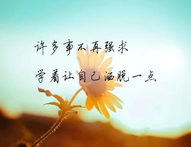 12月祝福文案短句热门,十二月第一天的祝福语高级文案