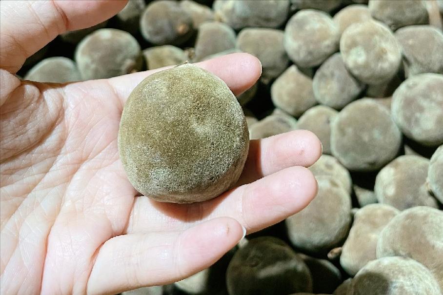 中国水果第一大省是哪个,广西跟山东哪个省水果种类多