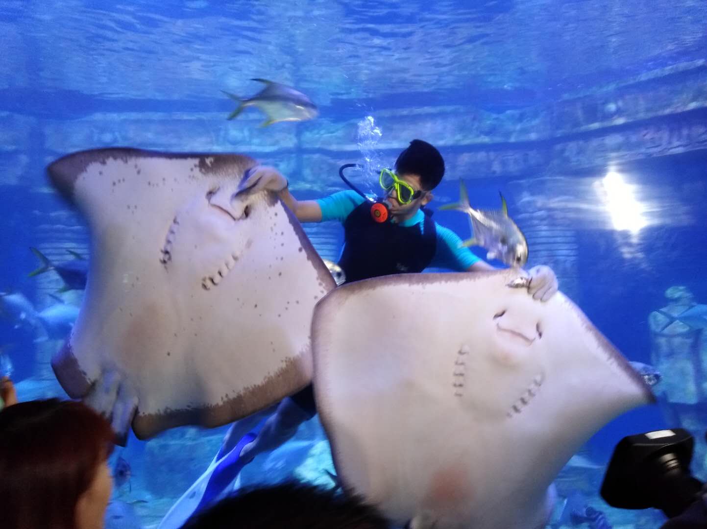 男子被魔鬼鱼毒刺扎,男子被魔鬼鱼蜇伤