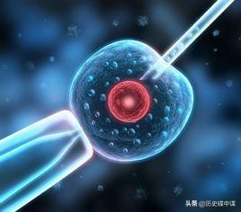 美国女子变性后诞下一子,美国变性手术生孩子