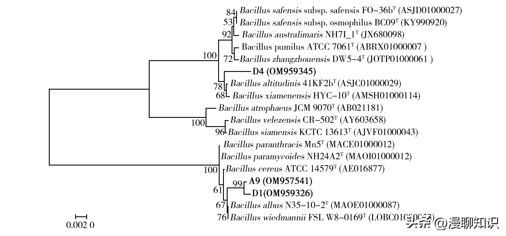几丁质在水产的作用与功效,几丁质酶的本质