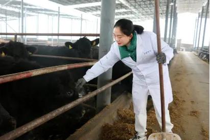 政协委员助力特色农业发展,南阳女政协委员