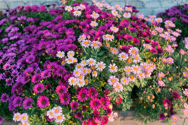 绝美的句子惊艳了时光温柔了岁月,惊艳了时光温柔了岁月璀璨了星河