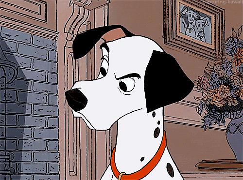 斑点狗为什么现在很少见,斑点狗这么可爱为什么很少人养