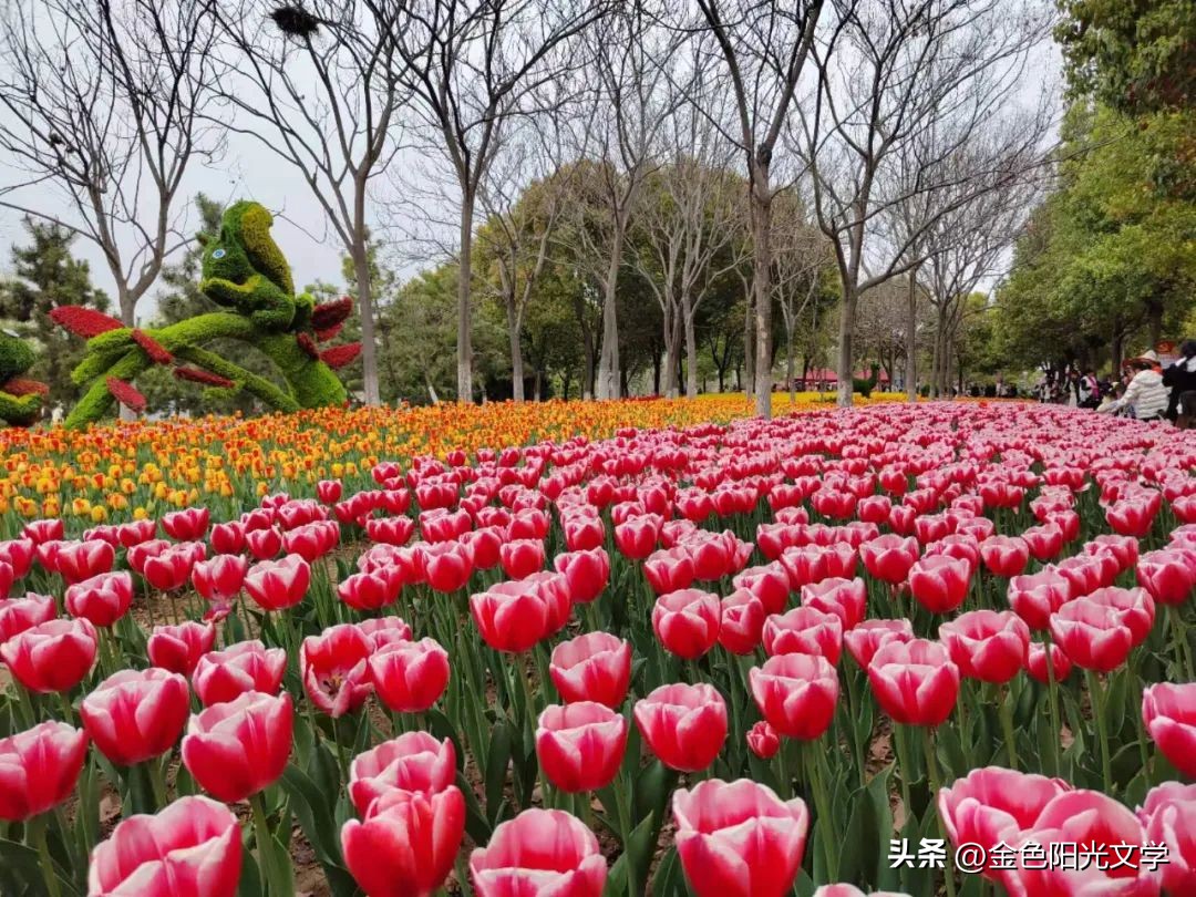 一年级自己画图写话,一年级看图说话写话