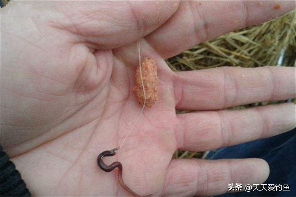 蚯蚓钓鲫鱼调漂绝招,蚯蚓钓鲫鱼调漂的正确方法与技巧