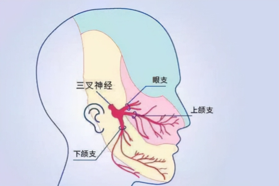 世上最痛的5种病，疼痛程度不亚于古代的酷刑，经历过的都是超人