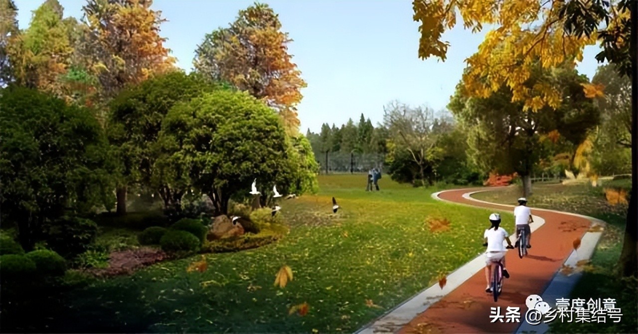 森林康养产业新模式,全域森林康养