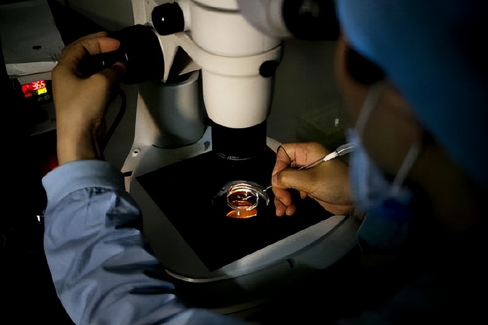 美国双胞胎姐妹同天生孩子 (美国姐妹同时生下双胞胎)