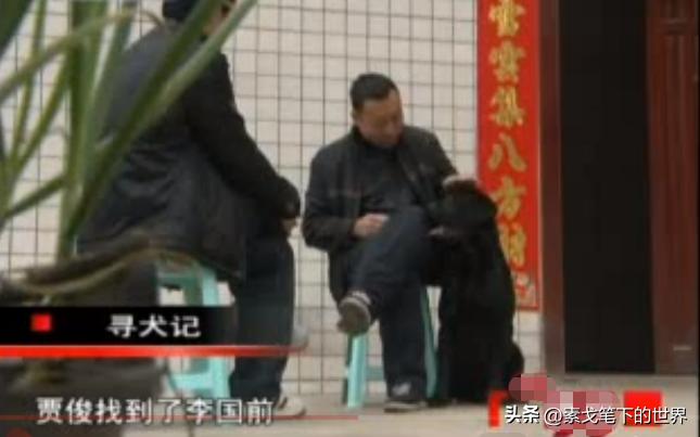 男子捡400只流浪狗,四川男子从路边捡来黑狗完整版
