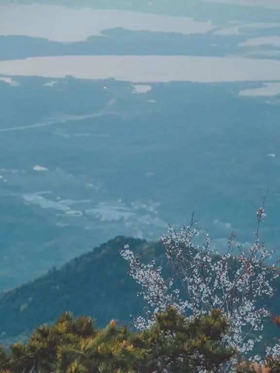 年轻人寺庙祈福有什么商机,年轻人流行寺庙修行