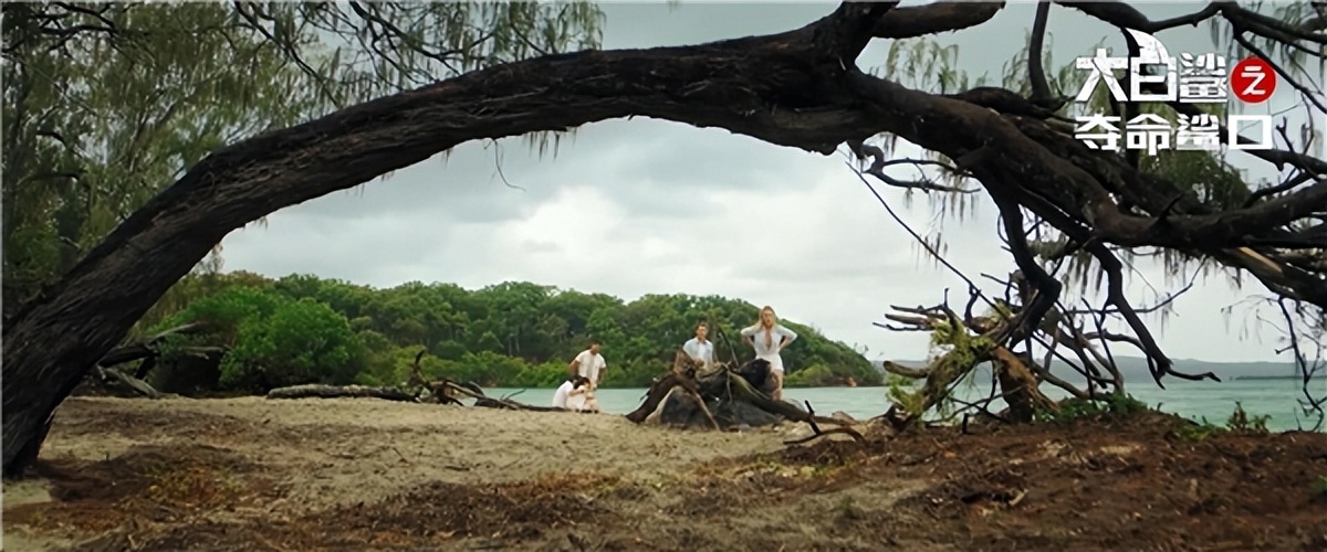 大白鲨之夺命鲨口国内上映时间,大白鲨之夺命鲨口在线观看