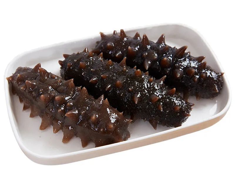 海参营养误区,怎么做活海参有营养又简单