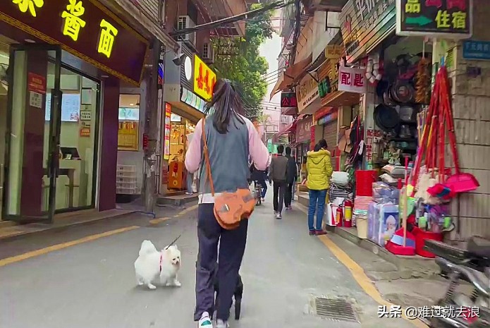 珠海区域经济高质量发展,珠海城市环境好吗