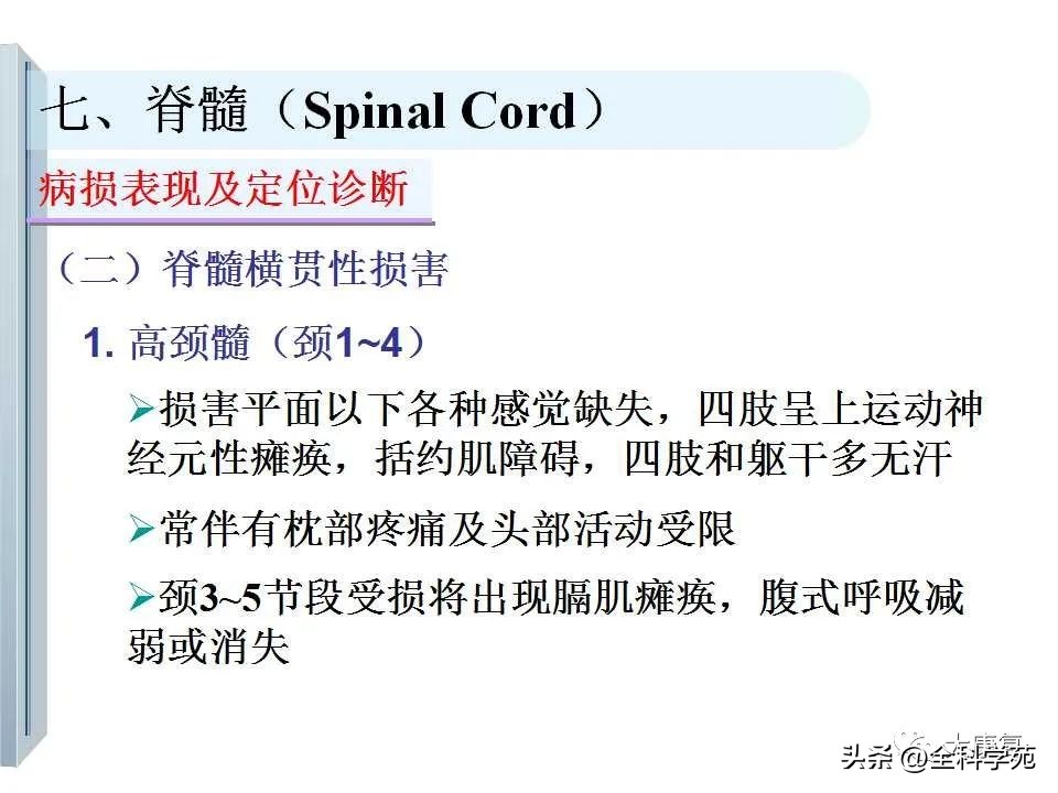 神经系统的影像与解剖定位,最全神经解剖图