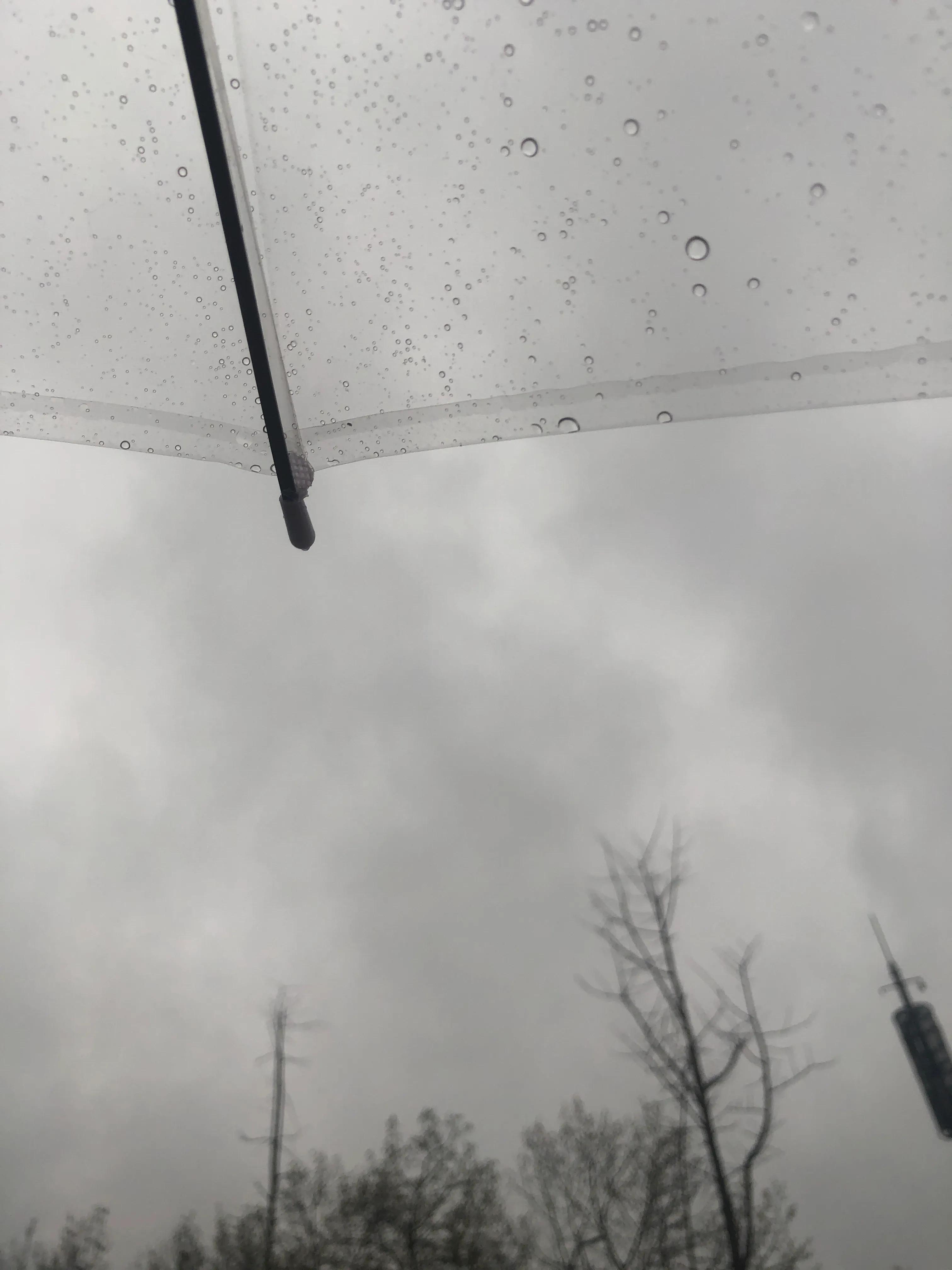 人脆弱珍惜眼前珍惜当下的句子,生病了才知道身体很脆弱珍惜生命