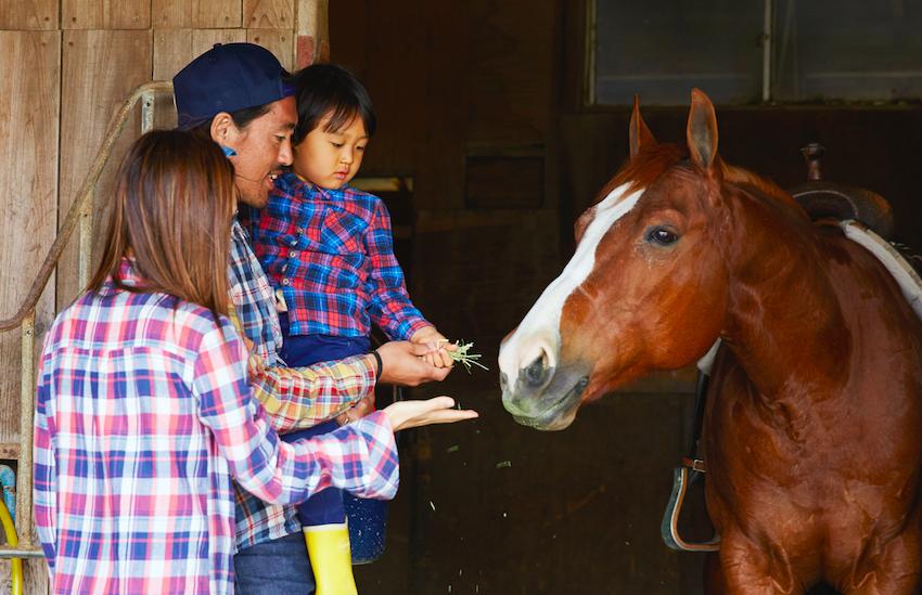 多大可以练习骑马,骑马学多久才能策马奔腾