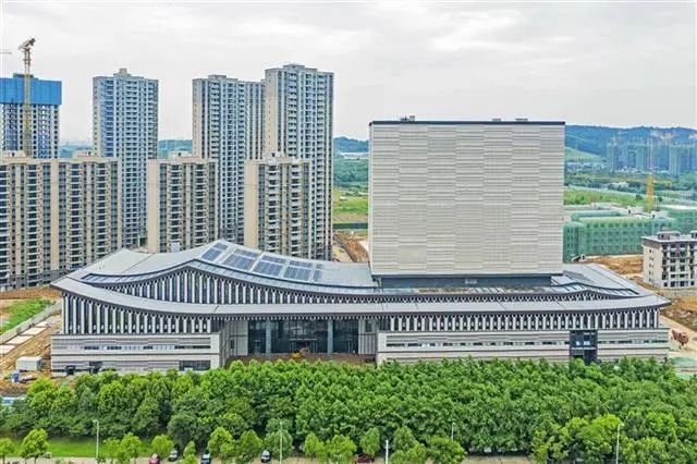 最新武汉好消息,武汉好消息今日头条