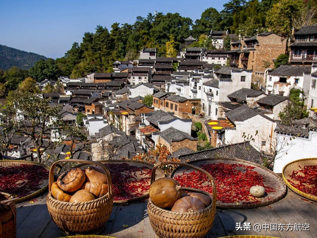 邀你来一场秋天的约会,和秋天来一场约会