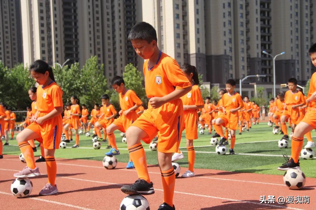 济南市槐荫区大金小学,济南大金小学