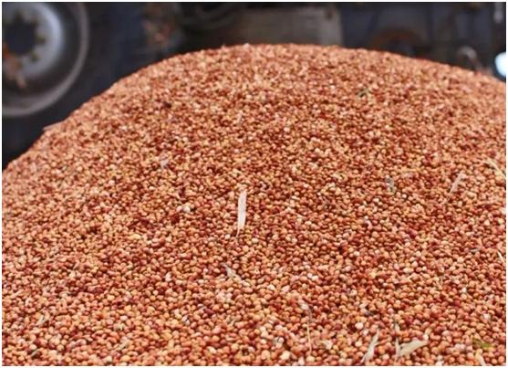 1月22日大年初一，常言“正月吃3宝，财福往家跑”，三宝都有啥