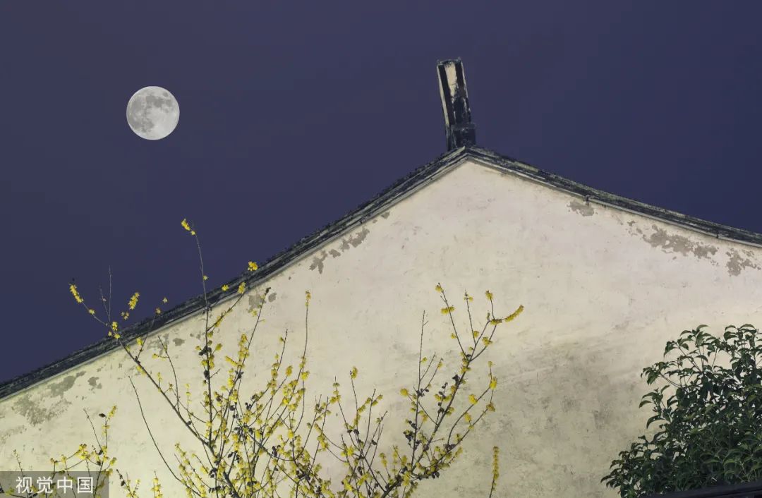 “10大名花”选美,你最支持谁？