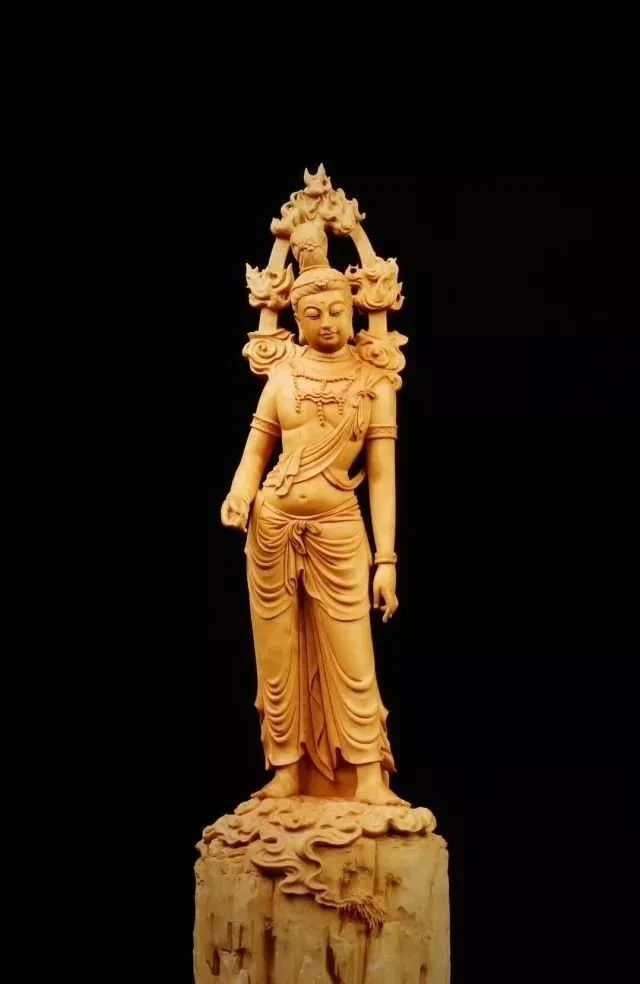 最好看的黄杨木,十种最好看的黄杨木