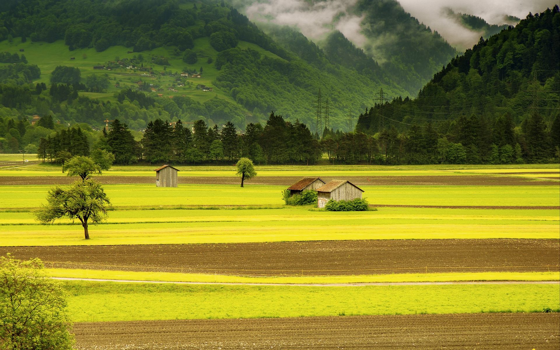 归园田居其一翻译及注释,归园田居其二朗诵解析