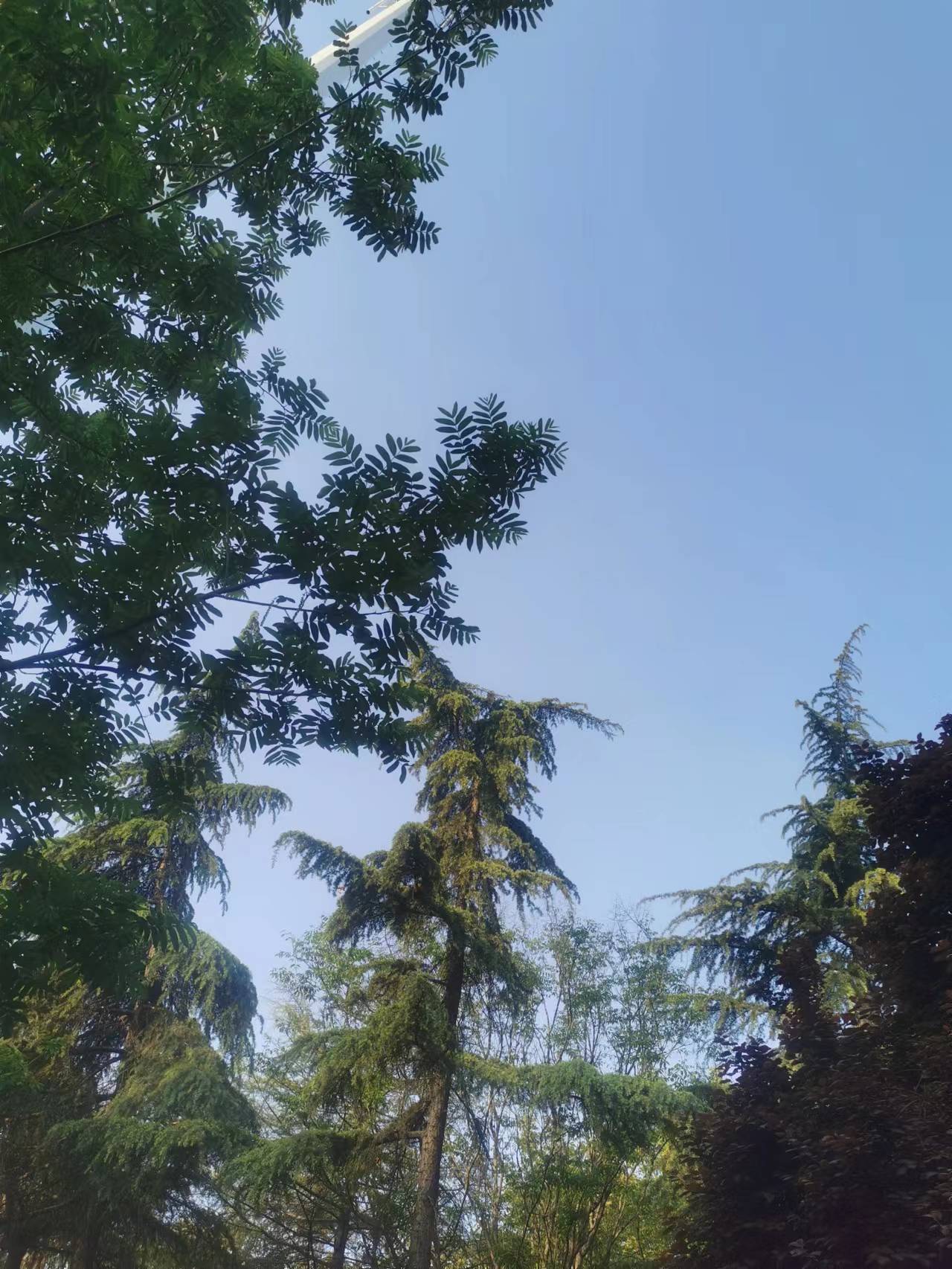 贩卖毒品死刑改判,贩卖毒品50万的判决案例