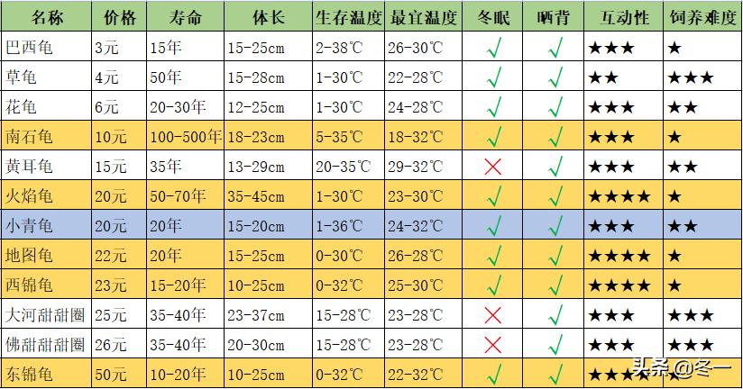 养龟避坑,新手养龟入门基础知识