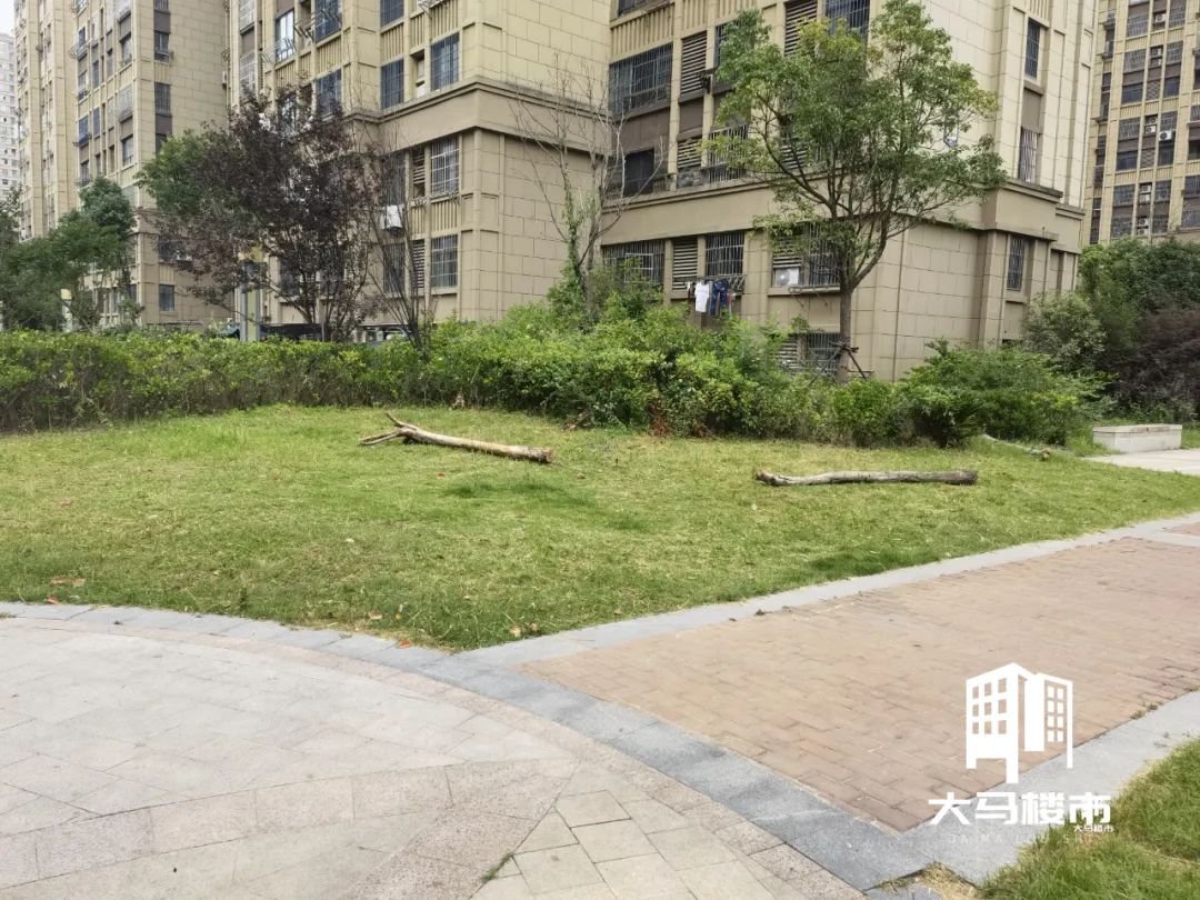 新物业进场公告,新物业公司进场