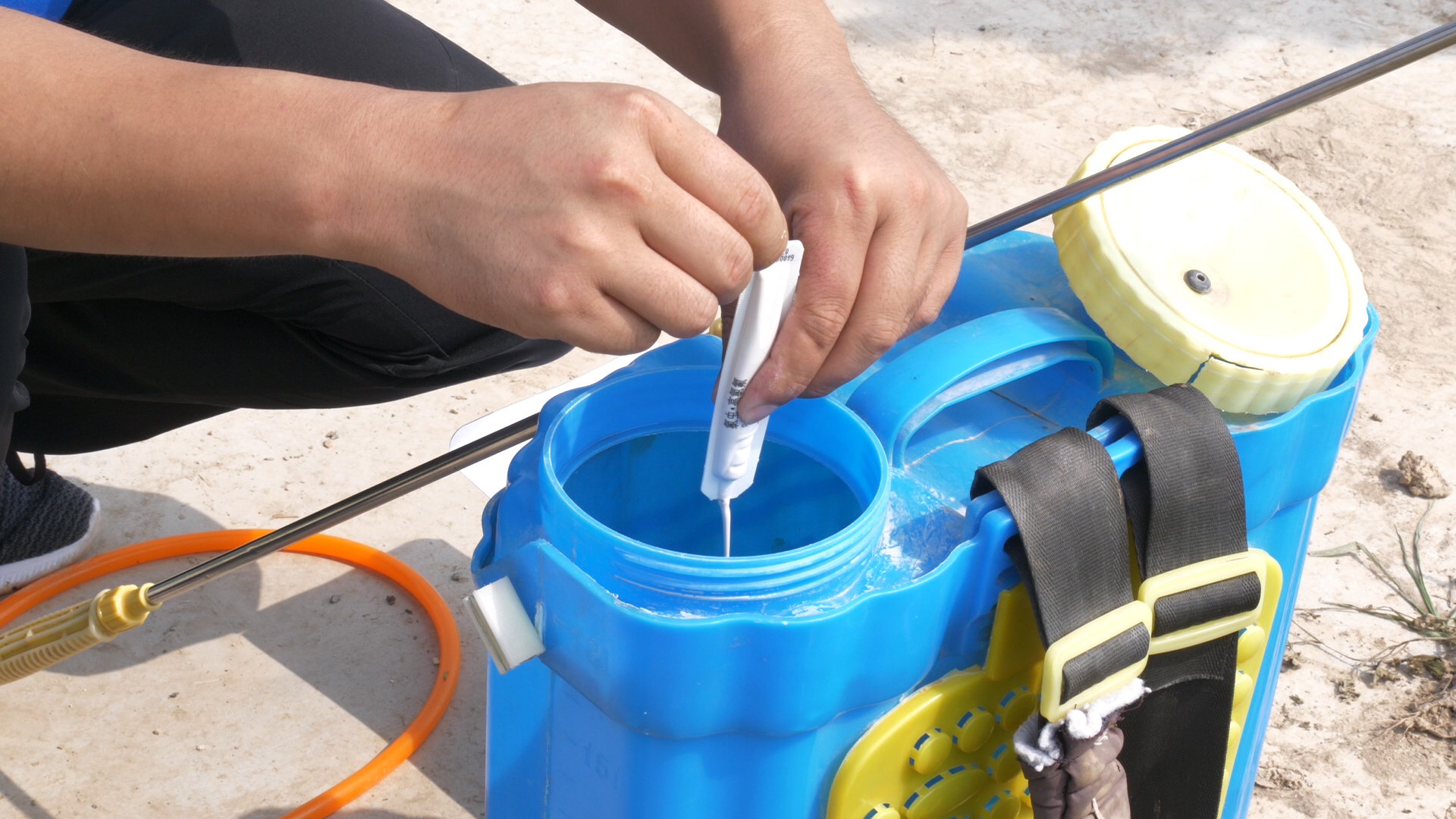 蔬菜药害怎么补救最快最有效,怎样防治各种蔬菜死苗烂根枯萎