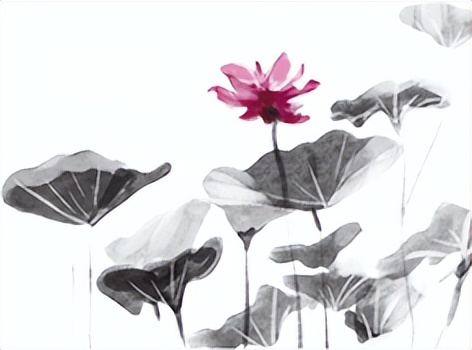 天道忌满人道忌全道德经第几章,道德经人道与天道的关系