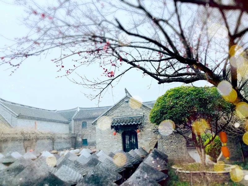 徐州春游野餐的好地方推荐,徐州最新春游推荐