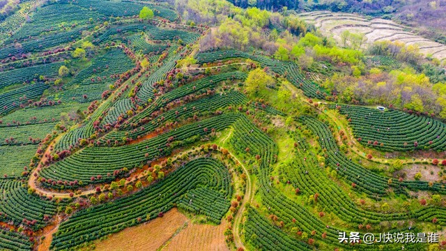 2021郑州自驾雷州旅游攻略,郑州飞越丛林探险乐园旅游攻略