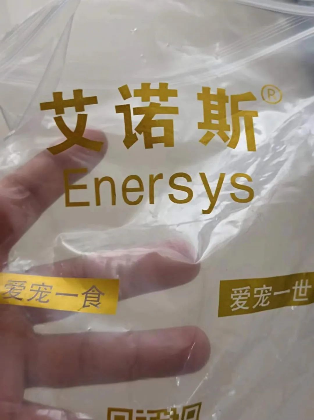 宠物市场的底层逻辑,关于宠物市场的市场分析