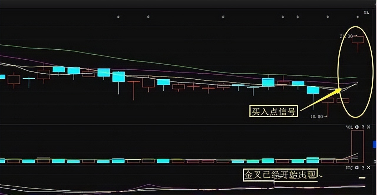 股市走势到底由谁决定的,中国股市谁在操盘
