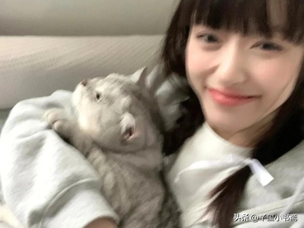 “昭昭因为你再也不能弹琴，你必须用你的手去赔！”