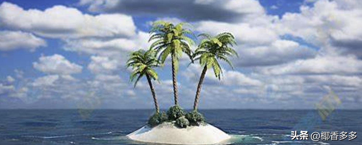 椰林寓意,海南椰林的特点