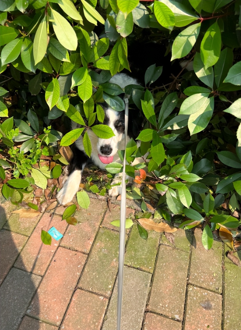 夏天排队做核酸的最佳打开方式我找到了