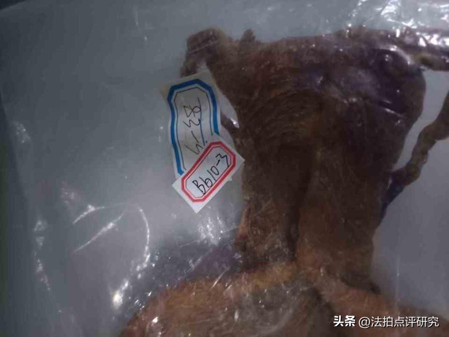 你相信吗？一只仅320g鱼胶在法拍网上竞然拍出300.9万元天价