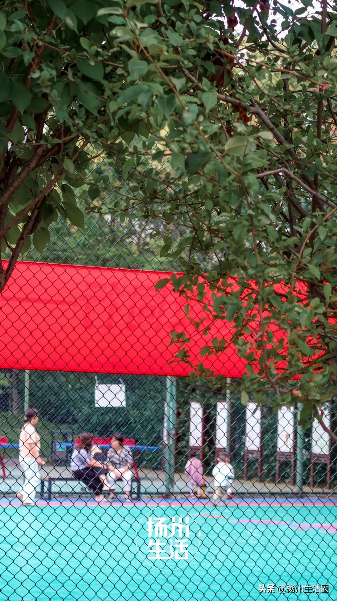 东区内卷之王，观潮路